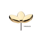 Invictus | 14k gold | Plain Lotus Flower