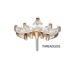 Invictus | 14k gold | 5-cluster Marquise Fan | CZ