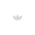 Buddha | 14k Gold | Moet Mini Threadless End | Rainbow Moonstone