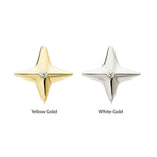 Invictus | 14k gold | Celestial Star | CZ