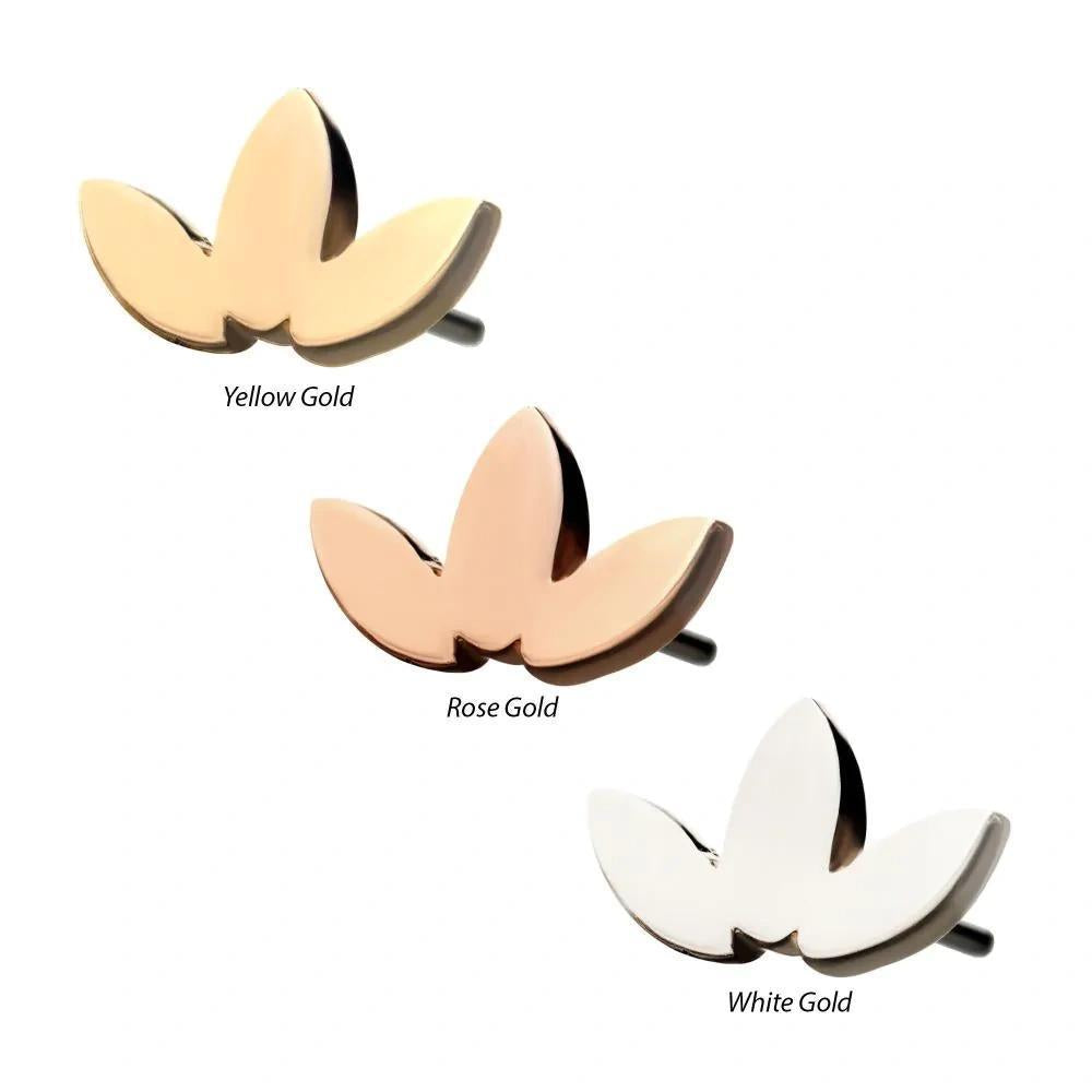 Invictus | 14k gold | Low Profile Leaf