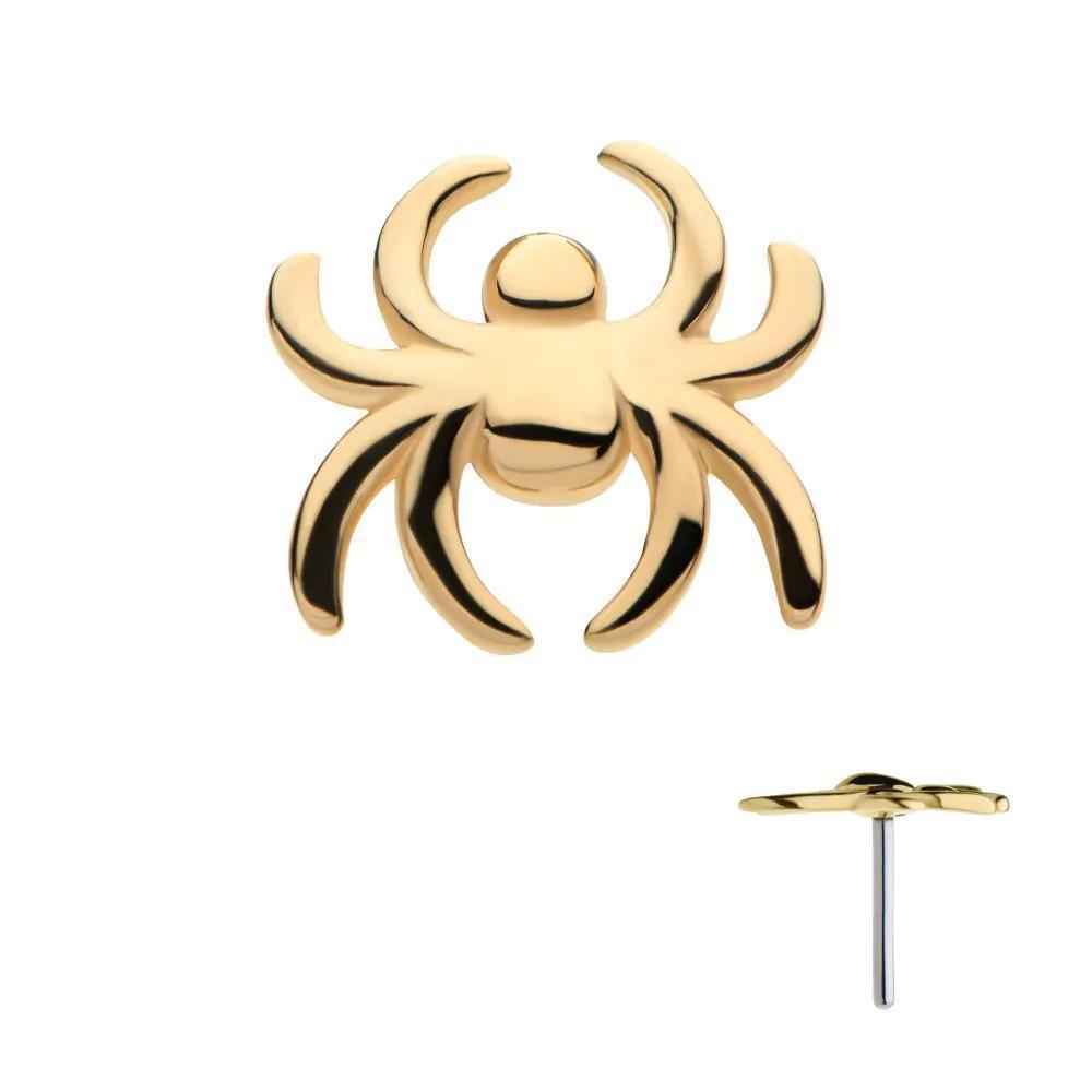 Invictus | 14k gold | Spider