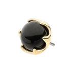 Invictus | 14k gold | 6 Prong | Black Onyx