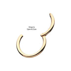 Invictus | 14k gold | Yellow Gold Plain Hinged Hoop
