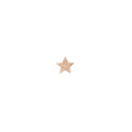 Buddha | 14k gold | Starstruck