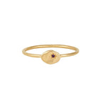 Buddha | 14k gold | RION x Buddha North Star Ring | Amethyst