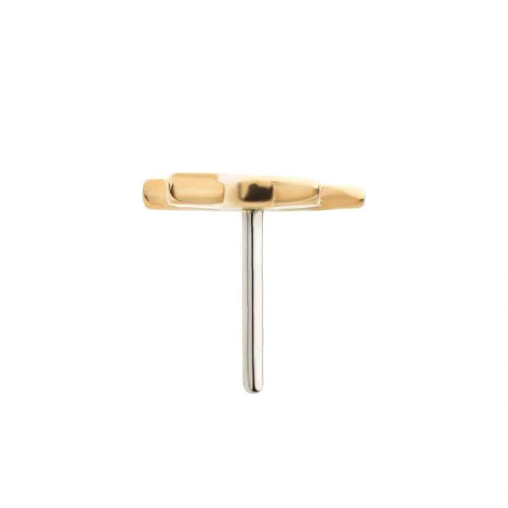 Invictus | 14k gold | Palm Tree