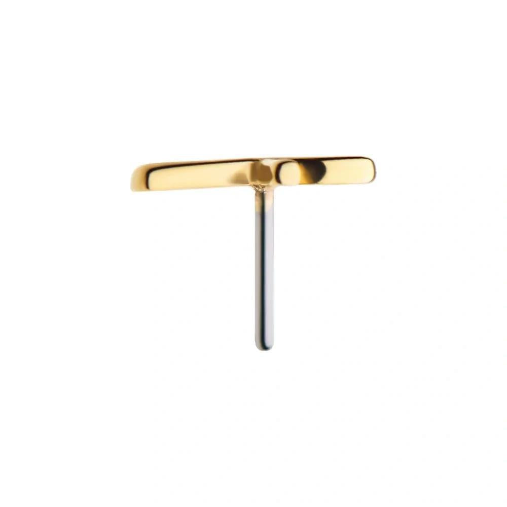 Invictus | 14k gold | Ankh Cross