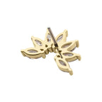 Invictus | 14k gold | Pronged Marquise Fan | CZ
