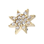 Invictus | 14k gold | Pave Set Octagram | CZ