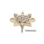 Invictus | 14k gold | Pave Set Octagram | CZ