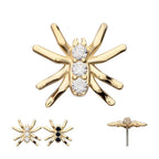 Invictus | 14k gold | Prong Set Spider | CZ