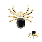 Invictus | 14k gold | Prong Set Spider | Black CZ