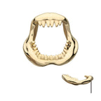 Invictus | 14k gold | Shark Jaws