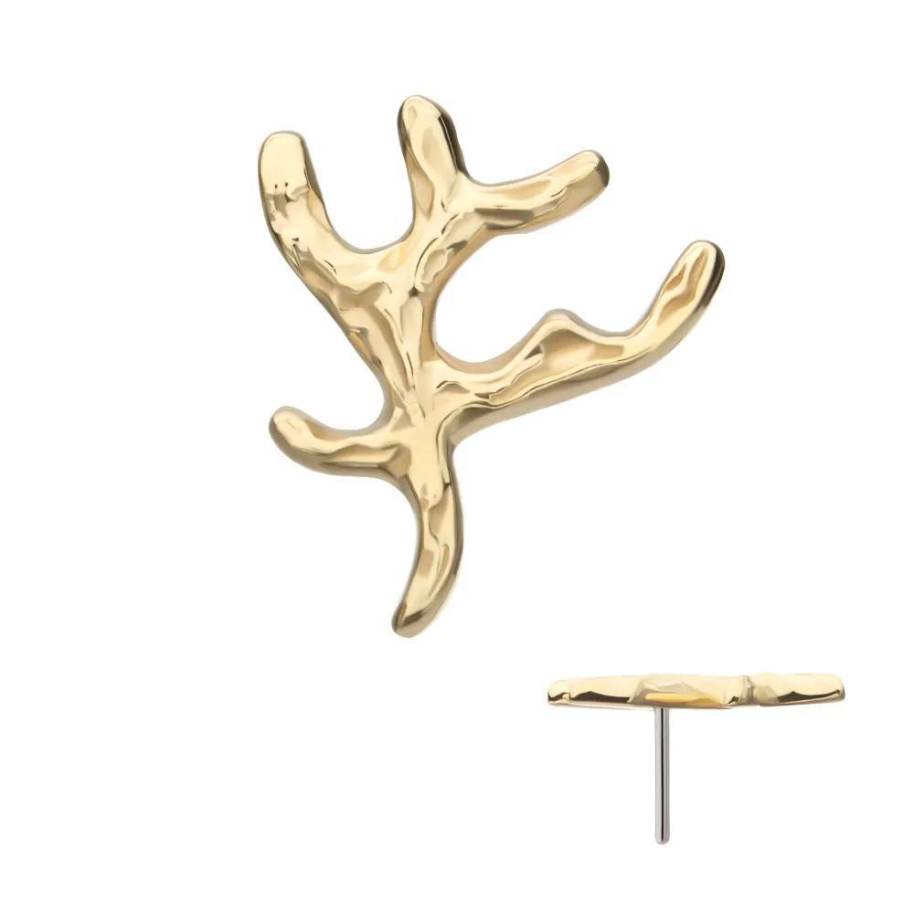 Invictus | 14k gold | Coral