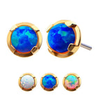 Invictus | 14k gold | Prong Set | Synthetic Opal