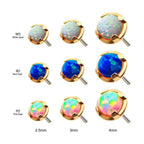 Invictus | 14k gold | Prong Set | Synthetic Opal