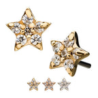 Invictus | 14k gold | Star | CZ