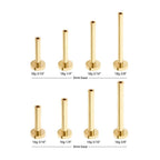 Invictus | 14k gold | Threadless Labret with 3mm Base