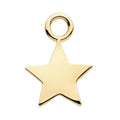 Invictus | 14k gold | Star Charm