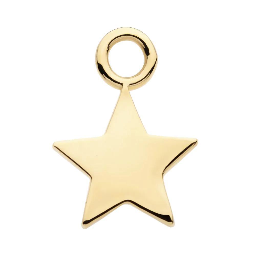 Invictus | 14k gold | Star Charm