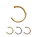 Invictus | 14k gold | 2mm Flat Back Nose Ring