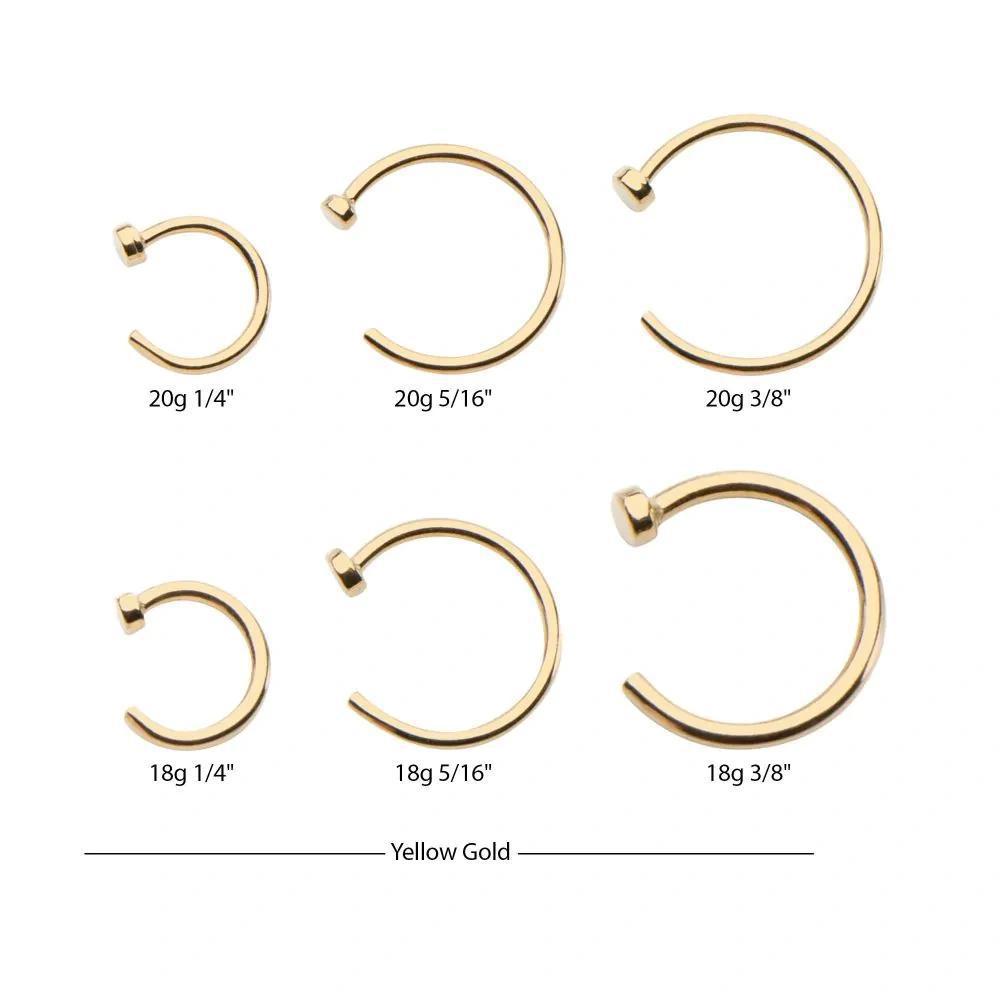 Invictus | 14k gold | 2mm Flat Back Nose Ring