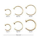 Invictus | 14k gold | 2mm Flat Back Nose Ring