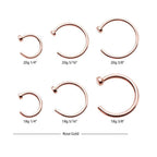 Invictus | 14k gold | 2mm Flat Back Nose Ring