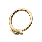 Invictus | 14k gold | Gem Sunburst | Side Facing Hinged Hoop | Cubic Zirconia