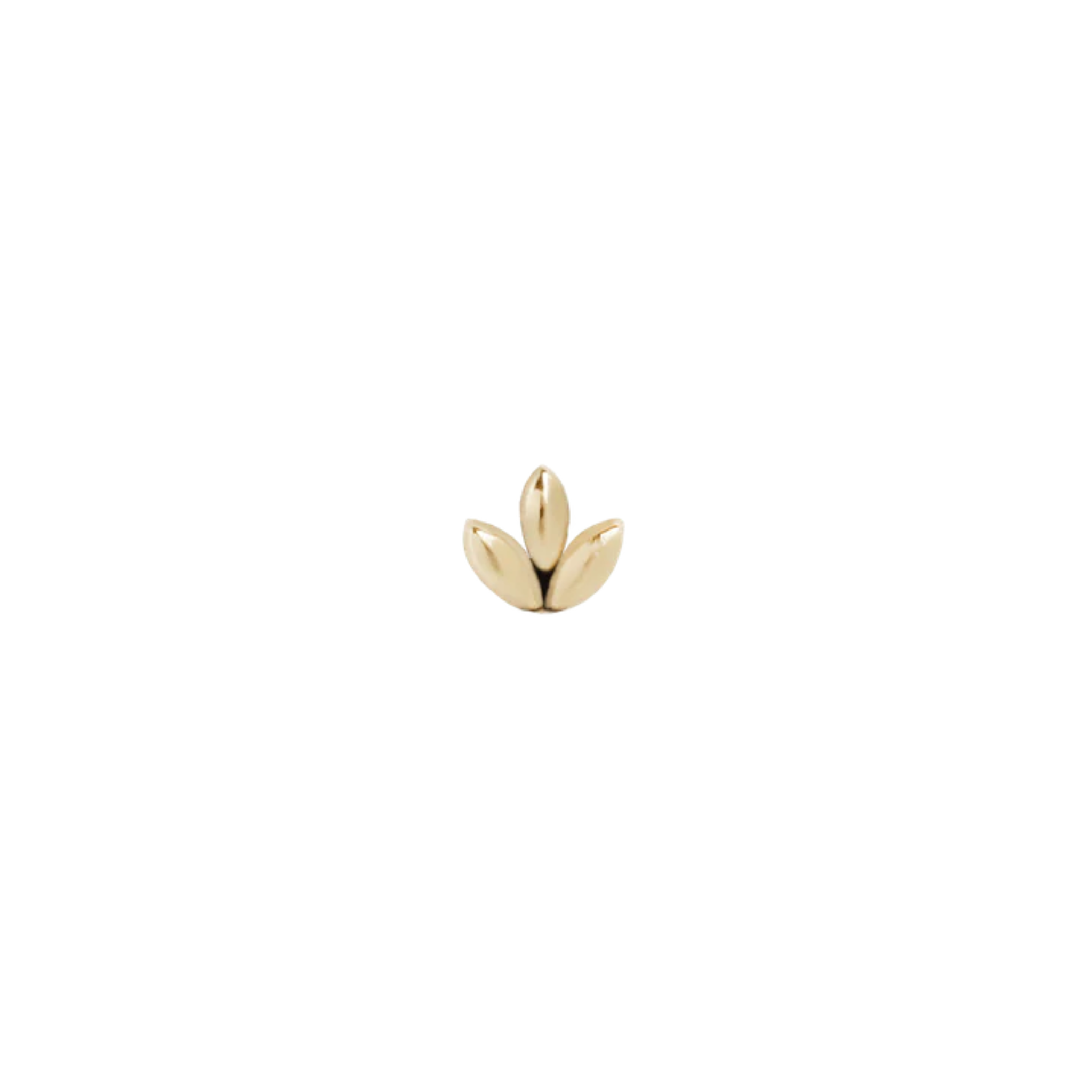 Maya | 14k gold | Sprout