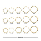 Invictus | 14k gold | Seamless Ring