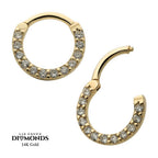 Invictus | 14k gold | Eternity Front Facing Hinged Hoop | Lab-Grown Diamonds
