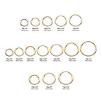 Invictus | 14k gold | Yellow Gold Plain Hinged Hoop