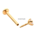 Invictus | 14k gold | Prong Set Labret | CZ