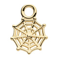 Invictus | 14k gold | Spiderweb Charm