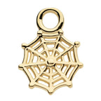 Invictus | 14k gold | Spiderweb Charm
