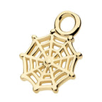 Invictus | 14k gold | Spiderweb Charm