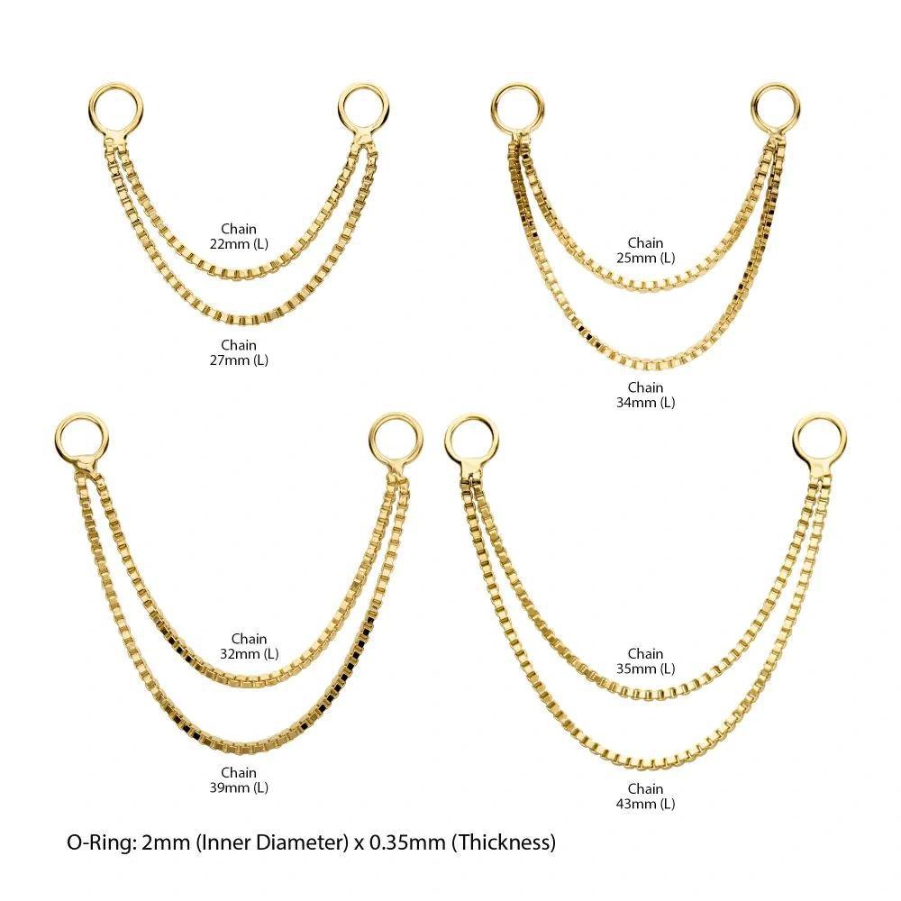 Invictus | 14k gold | 2- Tier Box Chain with Rings