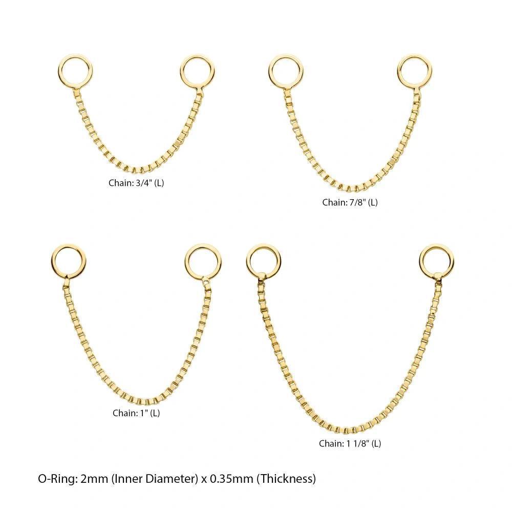 Invictus | 14k gold | Gold Box Chain with Rings