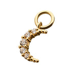 Invictus | 14k gold | Prong Set Moon Charm | CZ