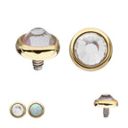 Invictus | 14k gold | 14g Dermal Top | Bezel Set Gem