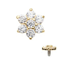 Invictus | 14k gold | 14g Dermal Top | Clear CZ Flower