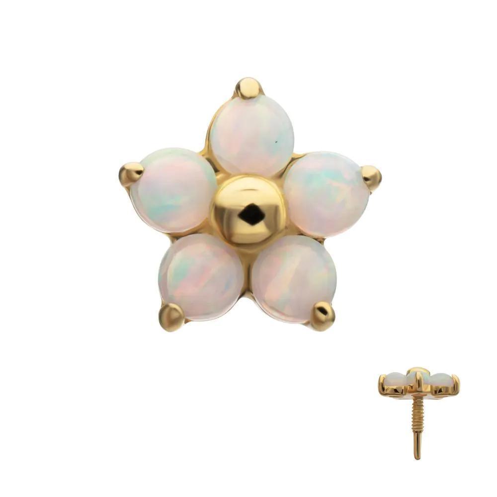 Invictus | 14k gold | 5-Petal Flower | Synthetic White Opal