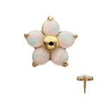 Invictus | 14k gold | 5-Petal Flower | Synthetic White Opal