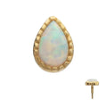 Invictus | 14k gold | Milgrain Teardrop | Synthetic White Opal