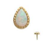 Invictus | 14k gold | Milgrain Teardrop | Synthetic White Opal