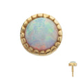 Invictus | 14k gold | Round Milgrain Edge | Synthetic Opal