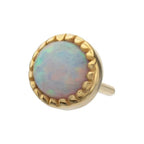 Invictus | 14k gold | Round Milgrain Edge | Synthetic Opal