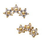 Invictus | 14k gold | 3 Curved Flower Cluster | CZ